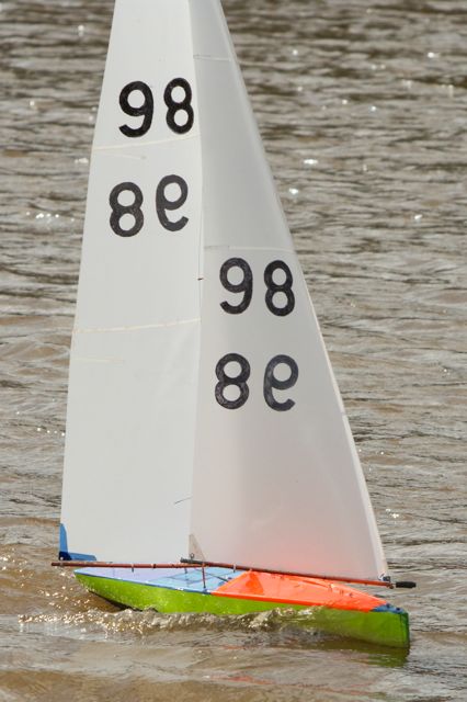 DSC03487 © Peter Taylor 2012