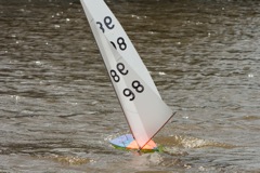 DSC03485 © Peter Taylor 2012