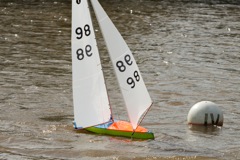 DSC03486 © Peter Taylor 2012