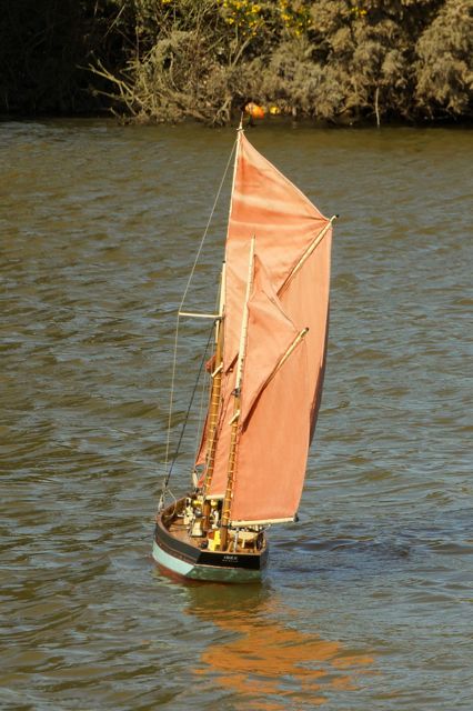 DSC06608  © Peter Taylor 2015