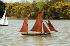 DSC06587  © Peter Taylor 2015