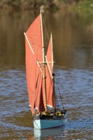 DSC04400 © Peter Taylor 2011