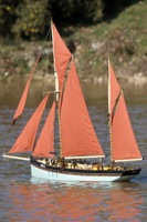 DSC04437 © Peter Taylor 2011