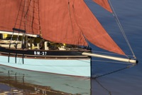 DSC04434 © Peter Taylor 2011