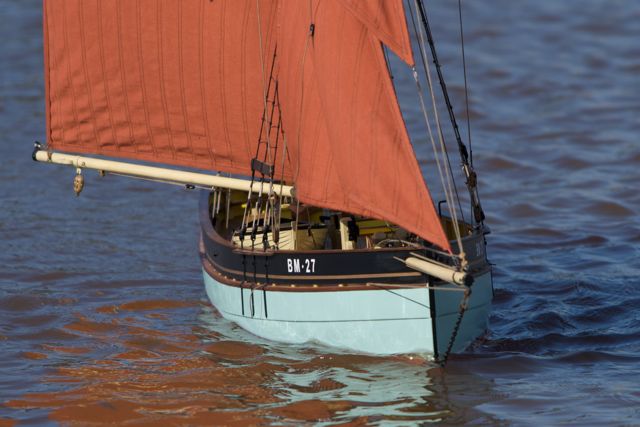 DSC04438 © Peter Taylor 2011