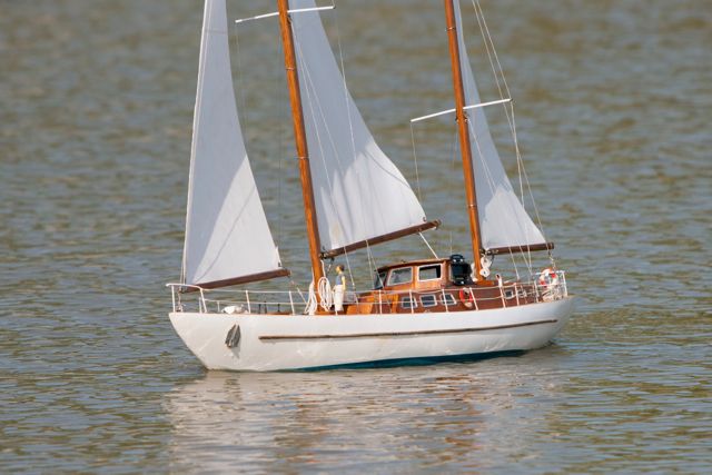 DSC01478 © Peter Taylor 2013