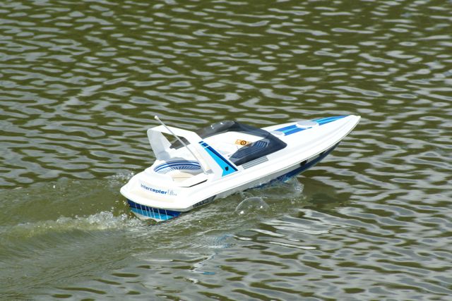 DSC00781.JPG