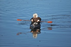 DSC_0035 © Ian Lloyd 2012