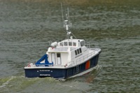 DSC00699 © Peter Taylor 2012