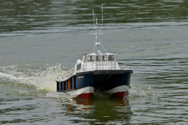 DSC00708 © Peter Taylor 2012