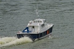 DSC00724 © Peter Taylor 2012