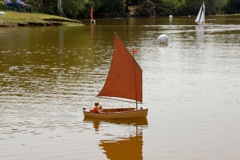 DSC05588 © Peter Taylor 2014