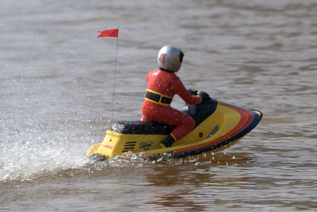 DSC03902 © Peter Taylor 2011