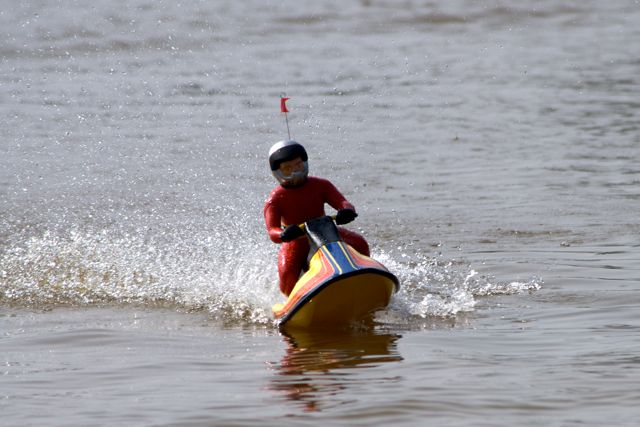 DSC03905 © Peter Taylor 2011