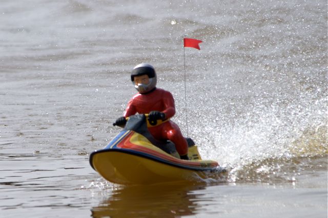DSC03909 © Peter Taylor 2011