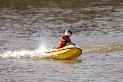 DSC03893 © Peter Taylor 2011