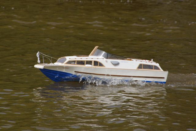 DSC06740 © Peter Taylor 2015