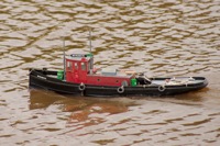 DSC02847 © Peter Taylor 2011