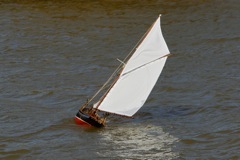 DSC06650  © Peter Taylor 2015
