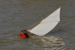 DSC06649  © Peter Taylor 2015