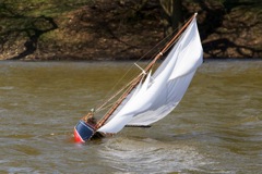 DSC06643  © Peter Taylor 2015