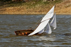 DSC06623  © Peter Taylor 2015