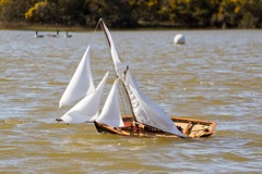 DSC06615  © Peter Taylor 2015