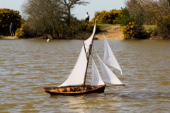 DSC06610  © Peter Taylor 2015