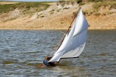DSC06609  © Peter Taylor 2015