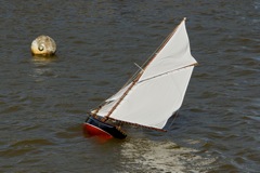 DSC06606  © Peter Taylor 2015