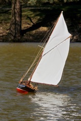 DSC06596  © Peter Taylor 2015