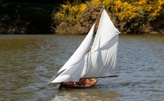 DSC06593  © Peter Taylor 2015