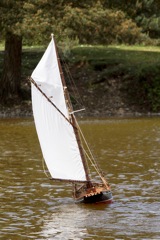 DSC06927  © Peter Taylor 2015