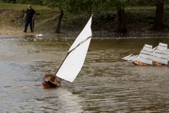 DSC06903  © Peter Taylor 2015