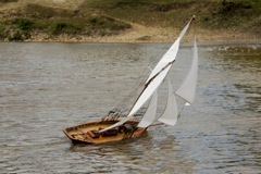 DSC06900  © Peter Taylor 2015