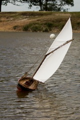 DSC06899  © Peter Taylor 2015