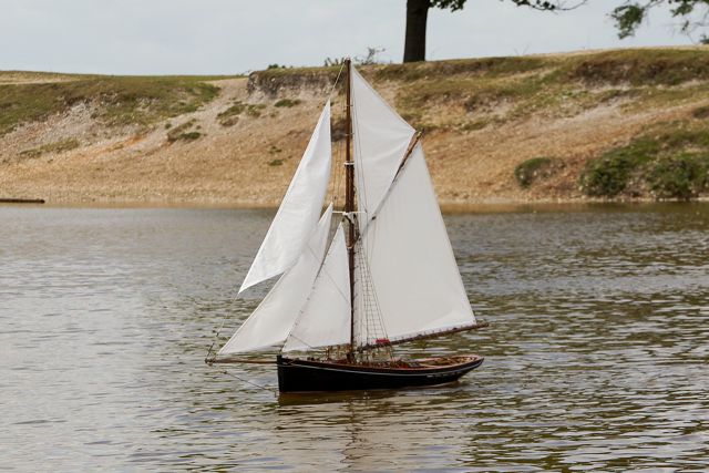 DSC06896  © Peter Taylor 2015