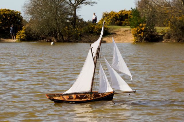 DSC06610  © Peter Taylor 2015