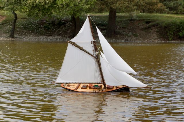 DSC06925  © Peter Taylor 2015