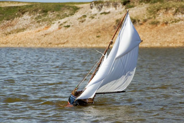 DSC06609  © Peter Taylor 2015
