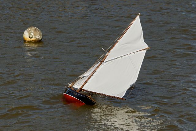 DSC06606  © Peter Taylor 2015