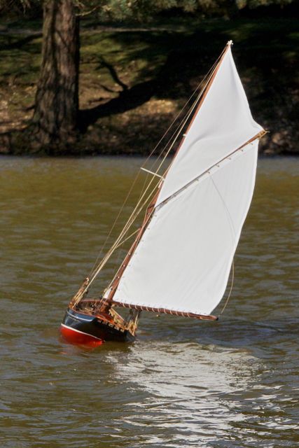 DSC06596  © Peter Taylor 2015