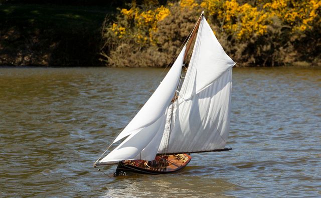 DSC06593  © Peter Taylor 2015