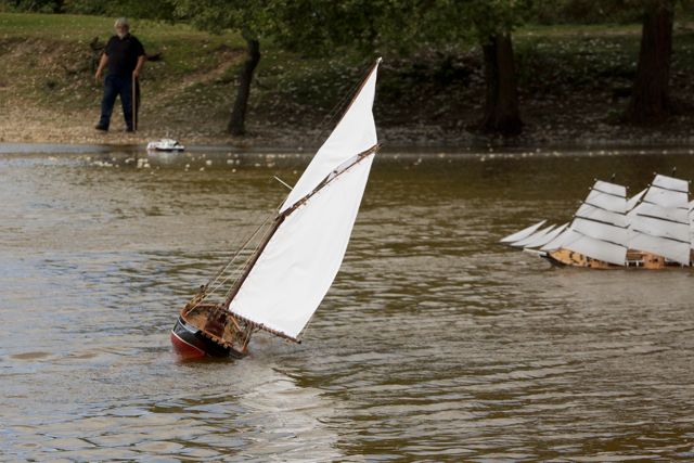 DSC06903  © Peter Taylor 2015