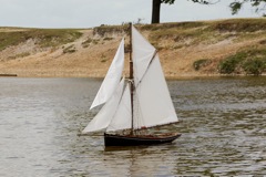 DSC06896  © Peter Taylor 2015