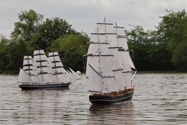 DSC07147  © Peter Taylor 2015