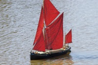DSC07932 © Peter Taylor 2011