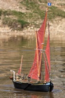 DSC04838 © Peter Taylor 2011