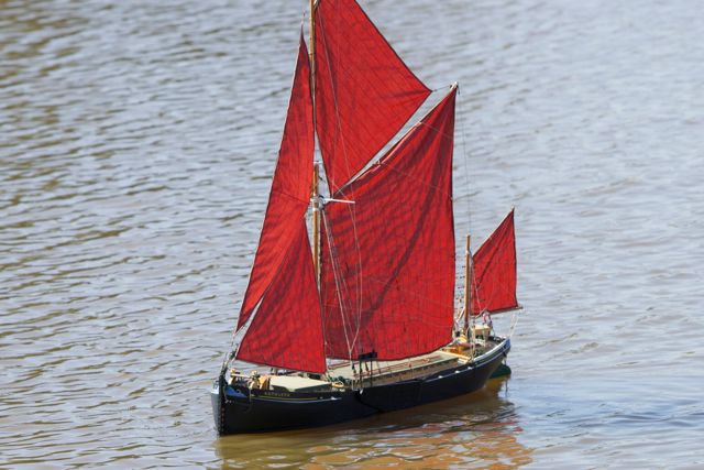 DSC07932 © Peter Taylor 2011