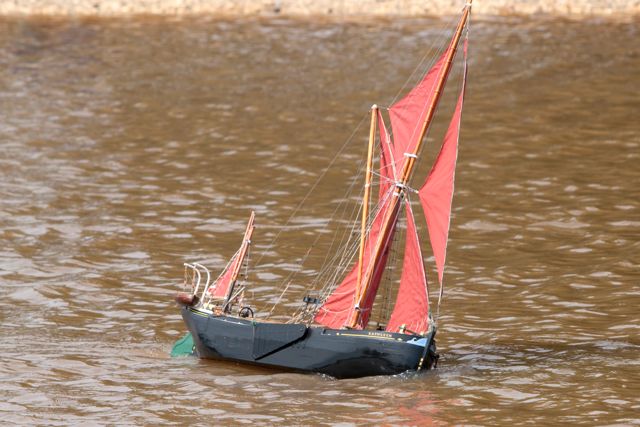 DSC06855 © Peter Taylor 2011